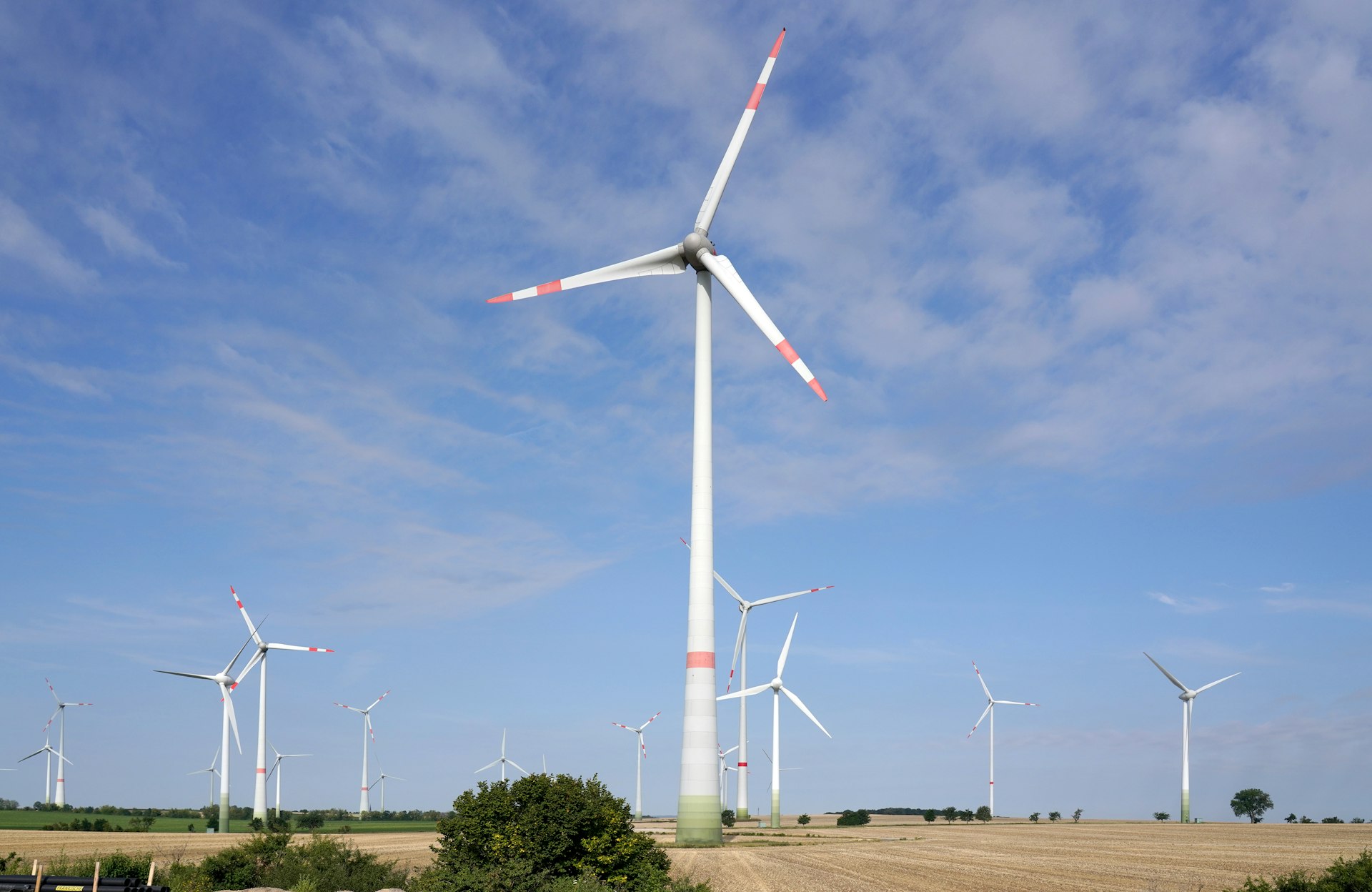 A group of windmills stand in a field